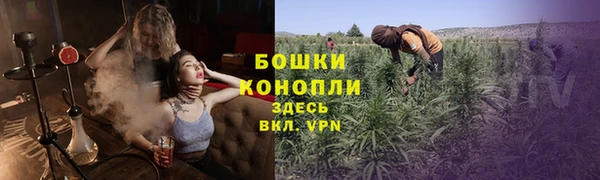 соль ск Нея
