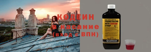 соль ск Нея