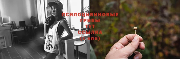 соль ск Нея