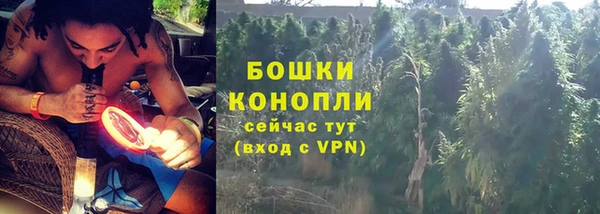 соль ск Нея