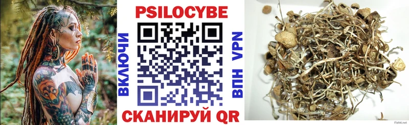 нарко площадка Telegram Сольцы Псилоцибиновые грибы прущие грибы